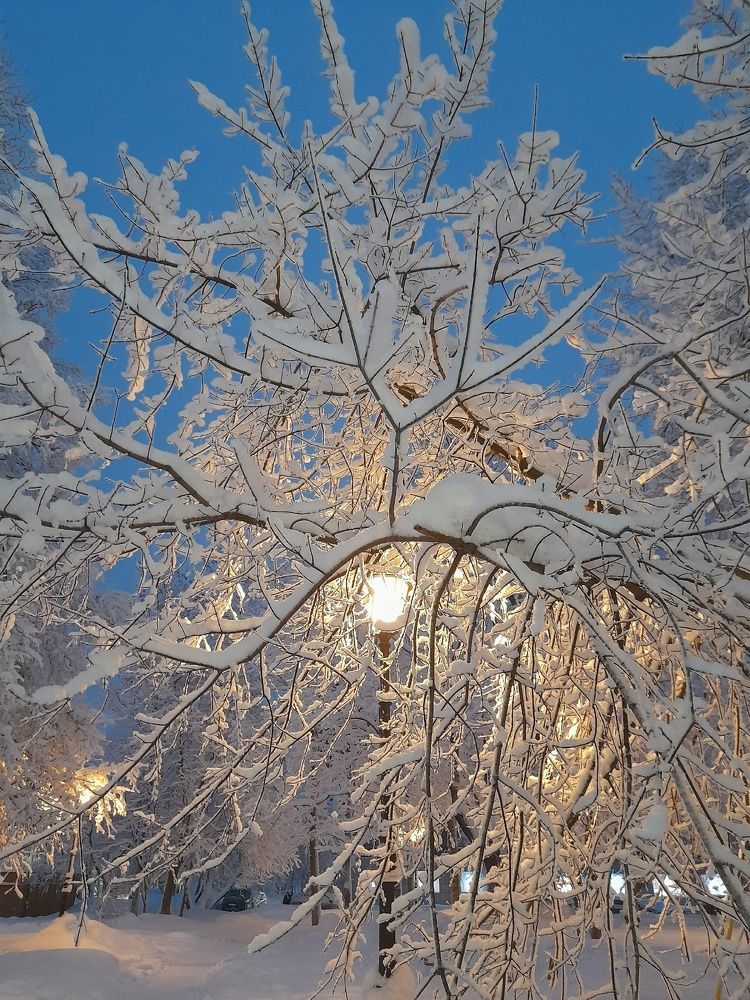 Photograph by Елена Малкова