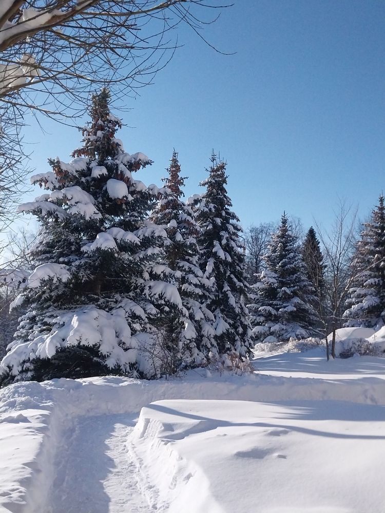 Photograph by Анна Авилочкина