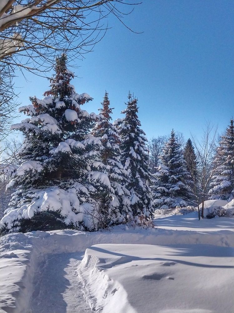 Photograph by Анна Авилочкина