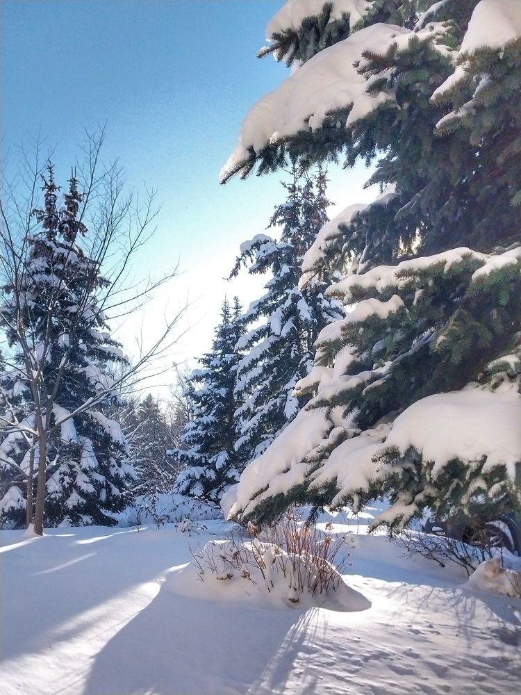 Photograph by Анна Авилочкина