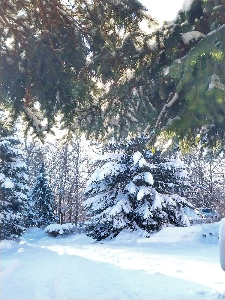 Photograph by Анна Авилочкина