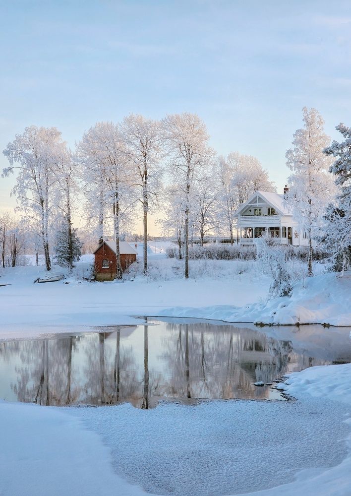 Фотография автора Alina Filimonova