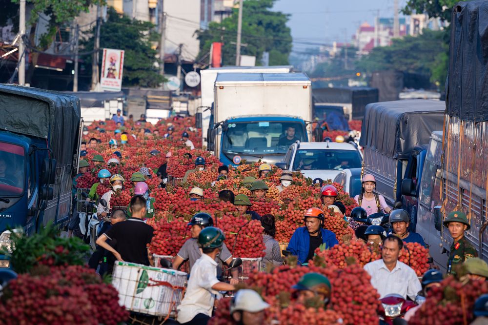 Фотография автора NGUYEN XUAN BAC