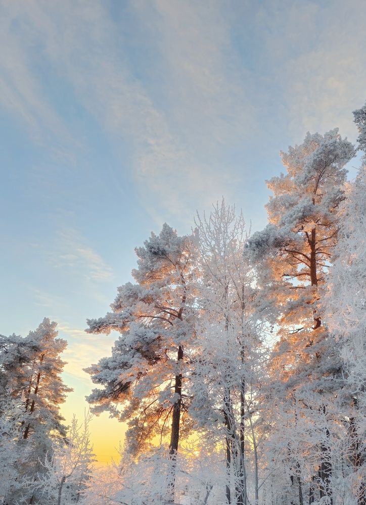 Фотография автора Alina Filimonova