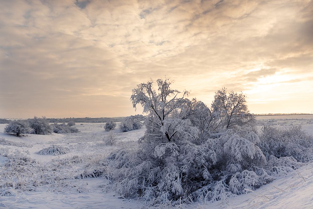 Photograph by Татьяна Зубехина