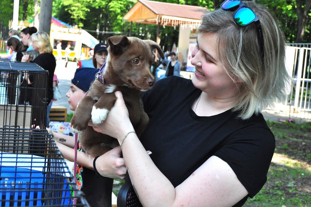 Пошли домой!