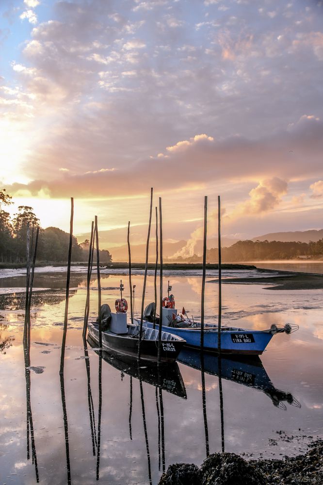 Photograph by Luis Sergio Goncalves