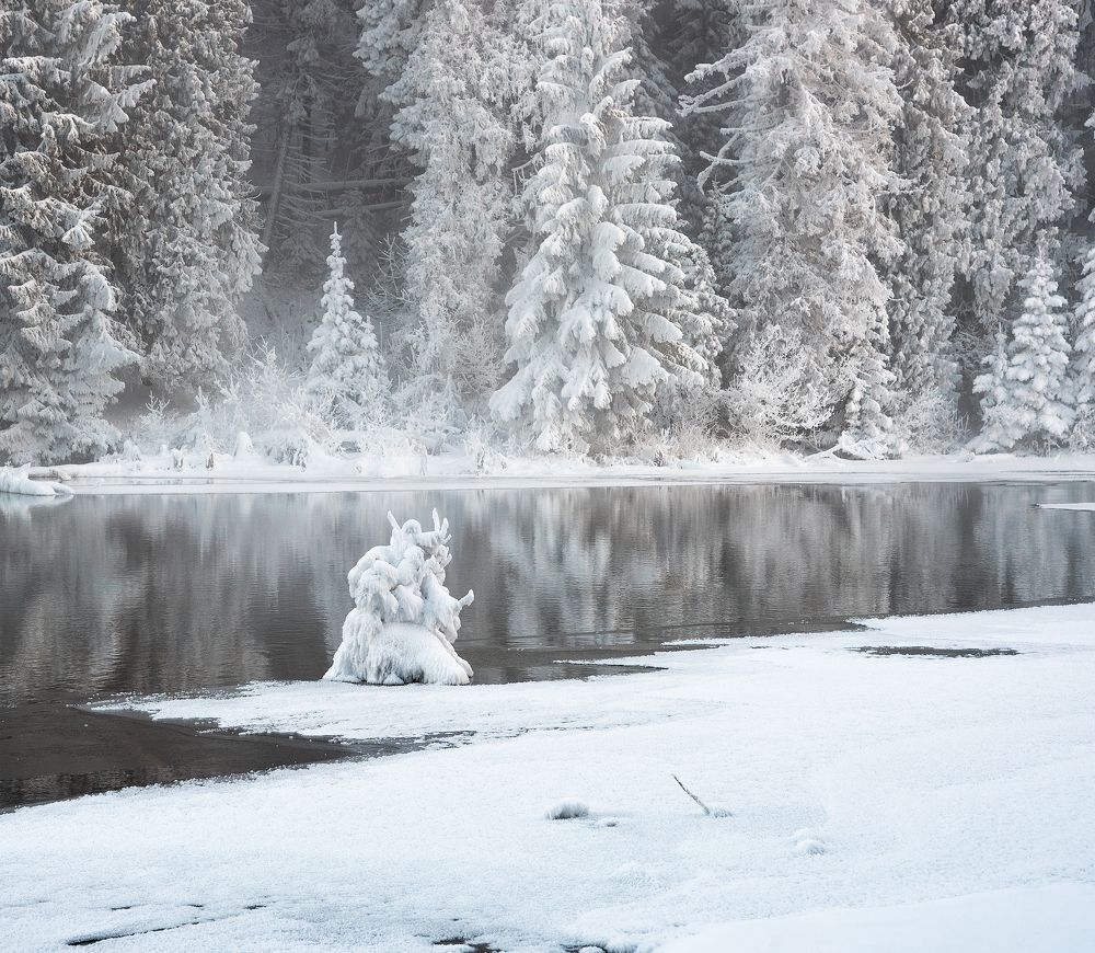 Фотография автора Карепанов Евгений