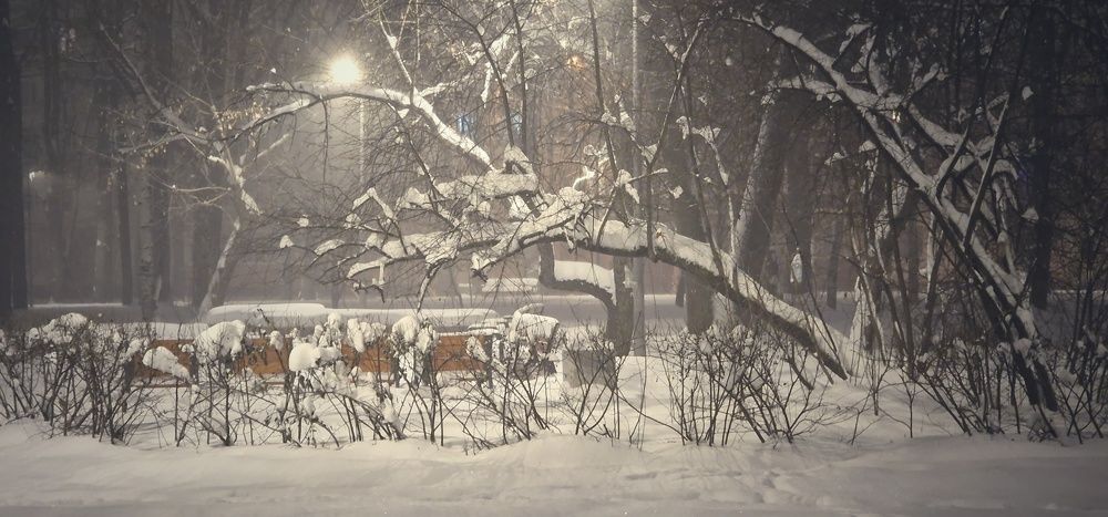 Фотография автора Ольга