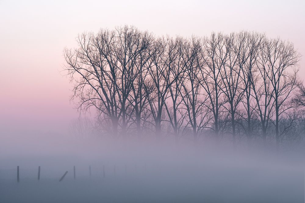 Photograph by Ben De Winter