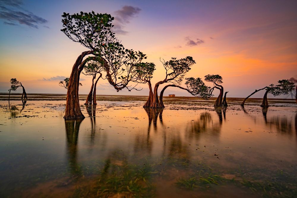 Photograph by mas julianto