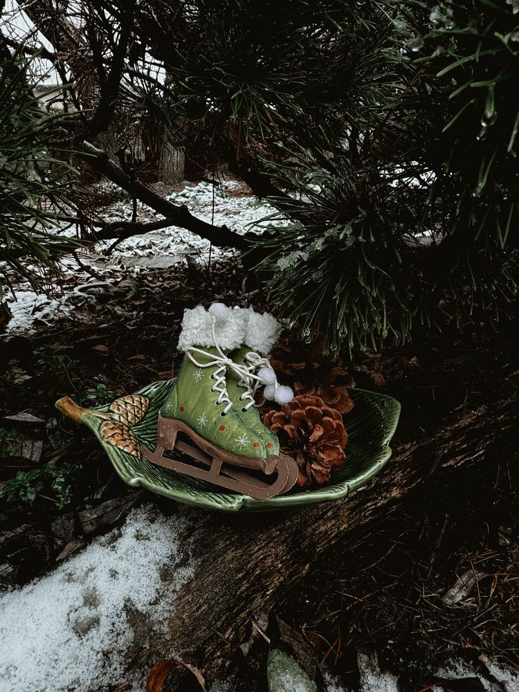 Photograph by Анастасия Денисенко