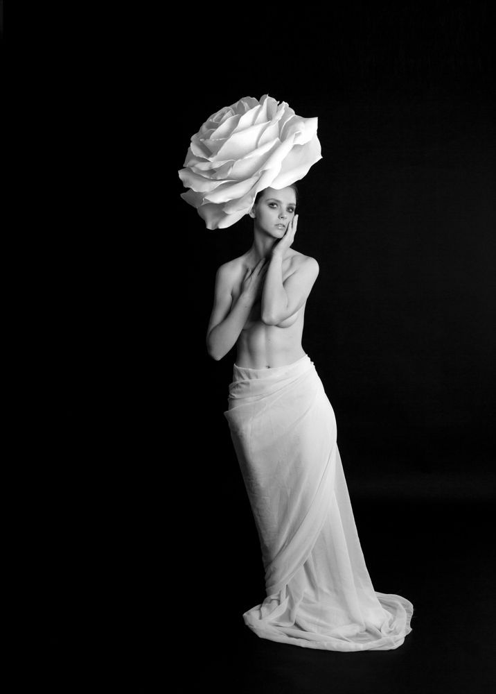 Фотография автора Ольга Хиневич