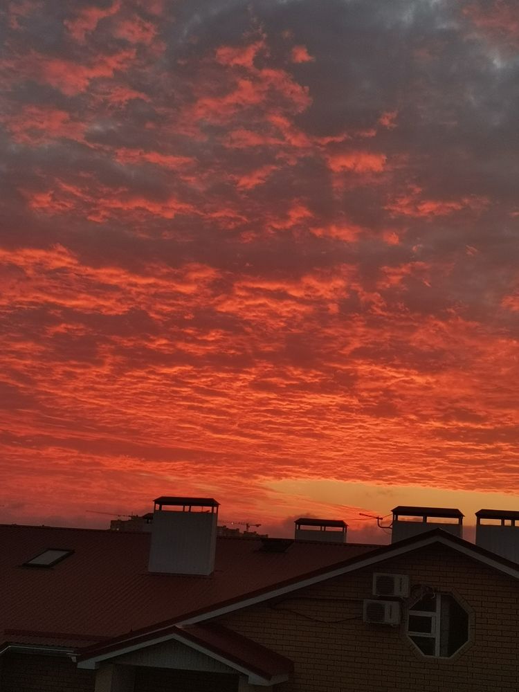 Photograph by Юлия Синицына