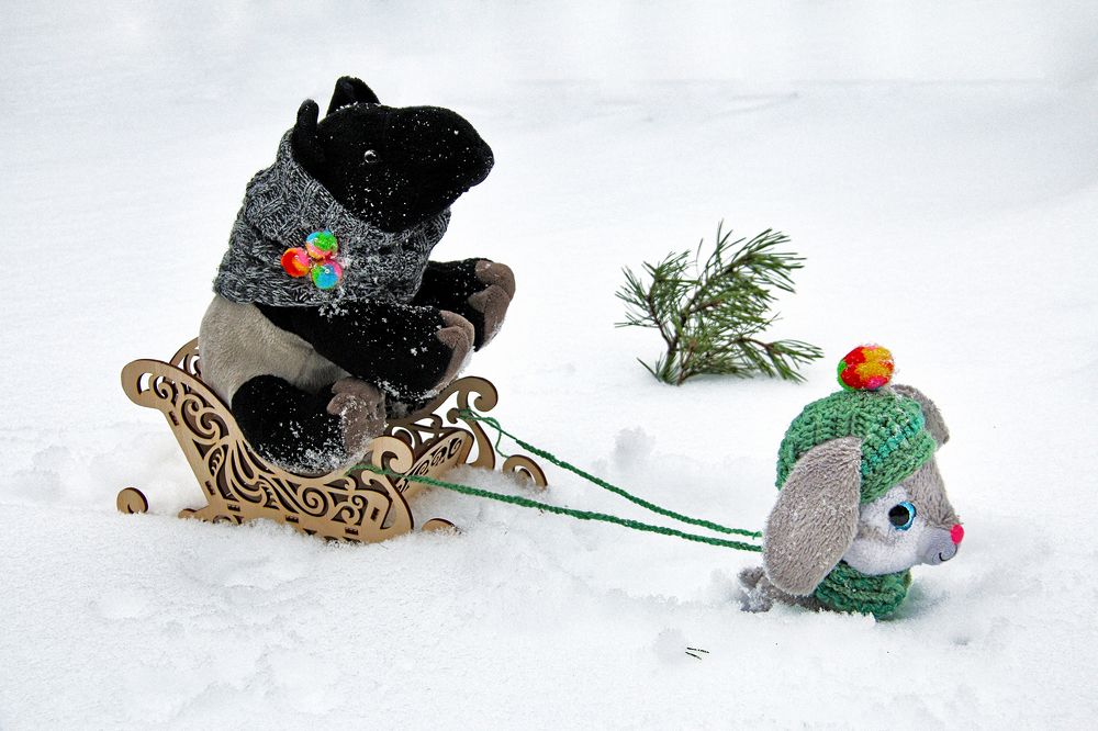 Фотография автора Елена Лаврова