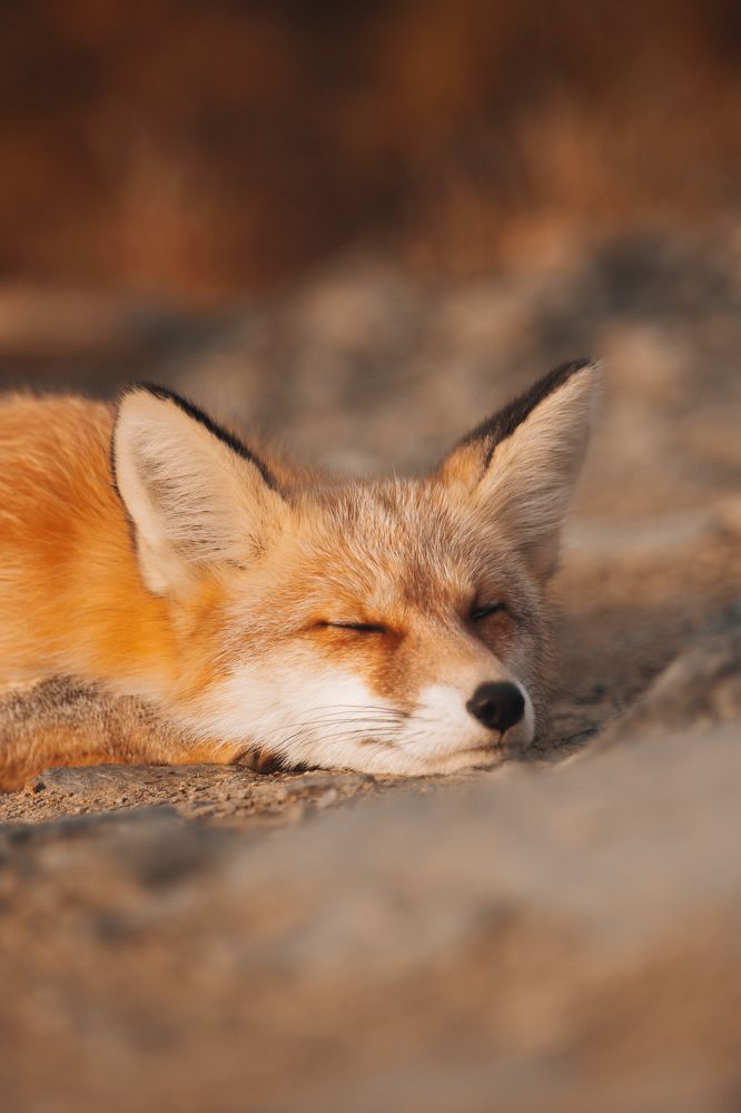 Photograph by Ольга Янкавцева