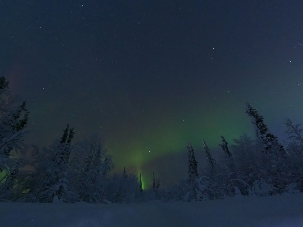 Photograph by Елена