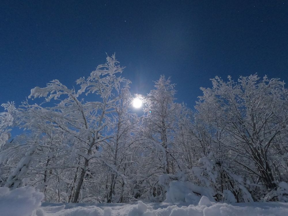 Photograph by Елена