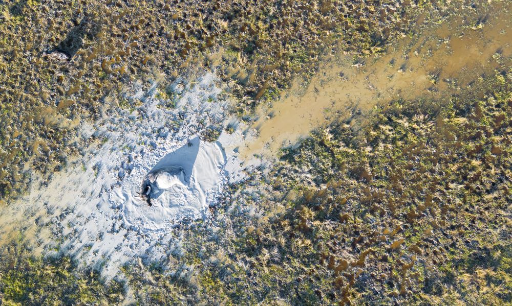 Photograph by Tímea Ambrus