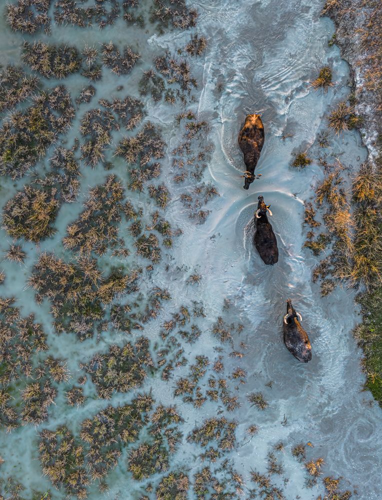 Photograph by Tímea Ambrus