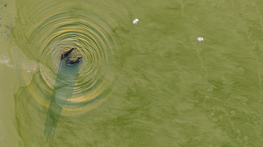 Photograph by Tímea Ambrus