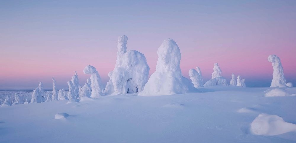 Photograph by Антонов Антон