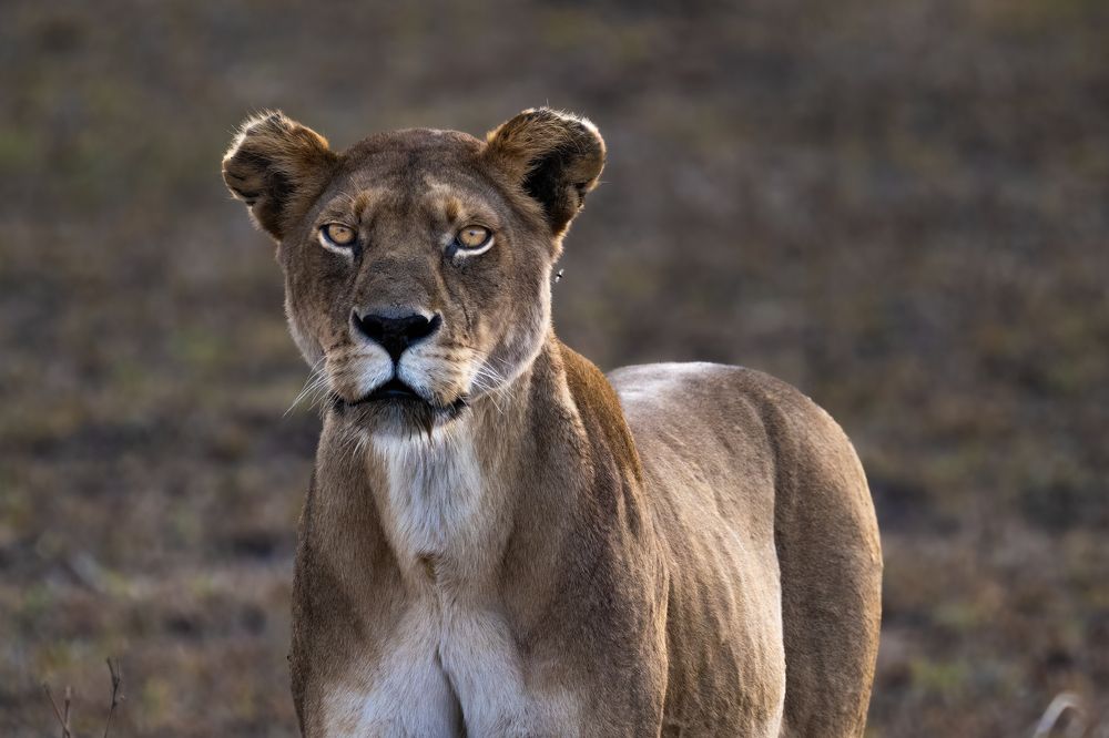 Photograph by Николай Мозгунов