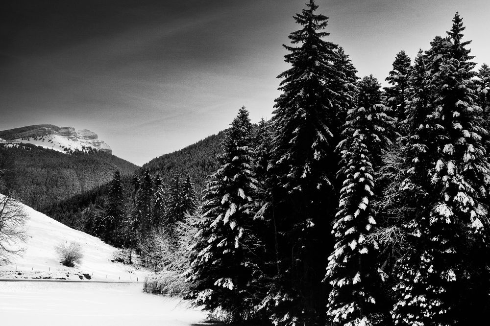 Photograph by Murat thomas