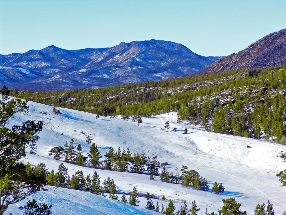 Photograph by Михаил Максимов