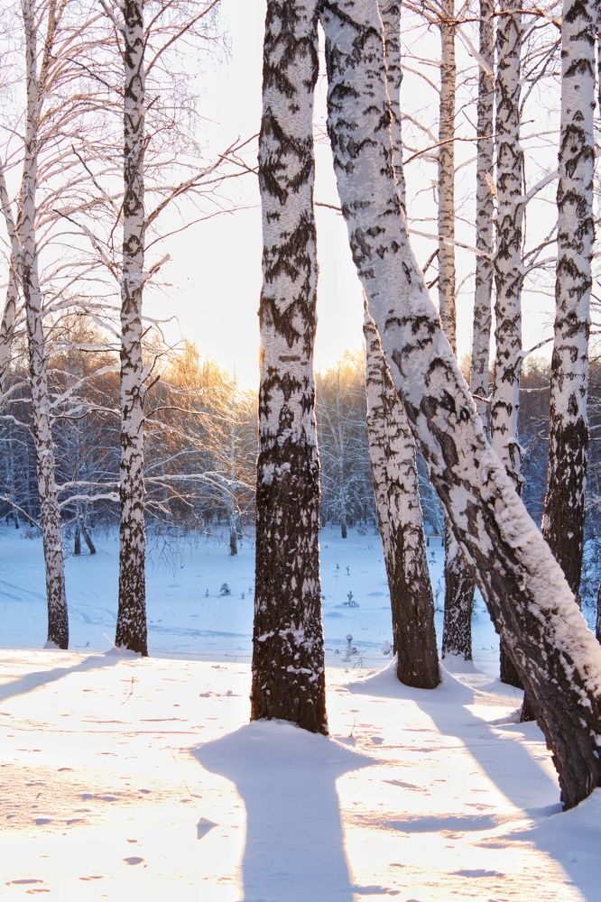 Photograph by Марина Тувышева-Чукавина