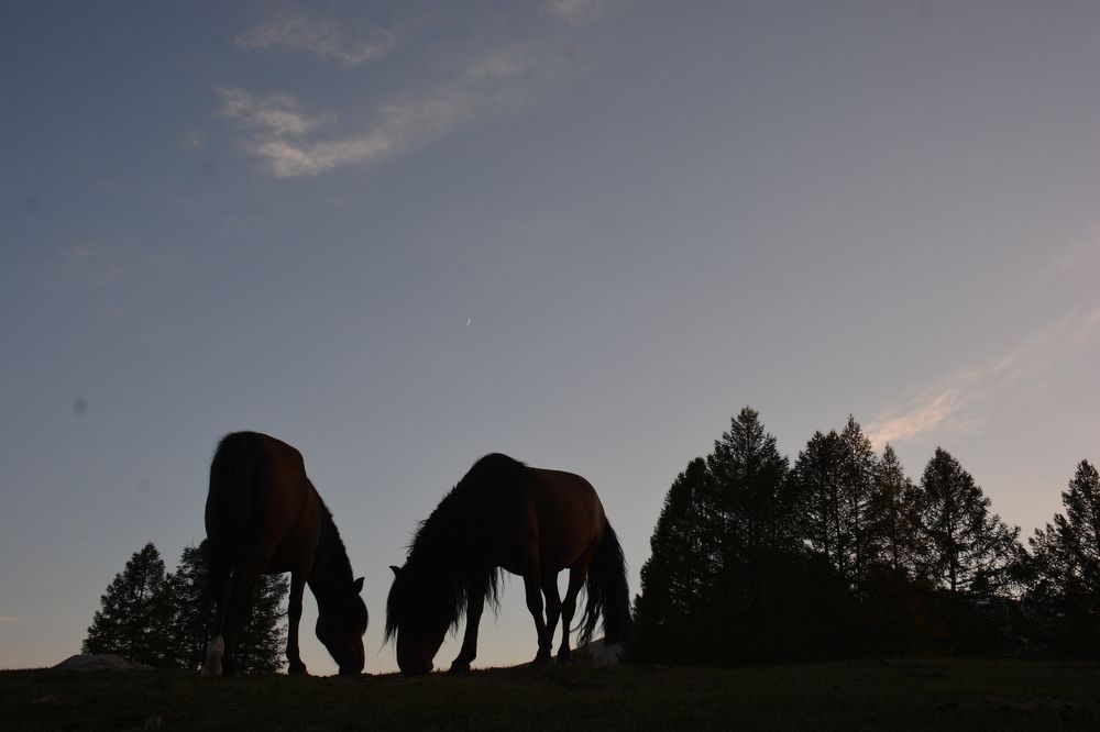 Photograph by Амиров Марат