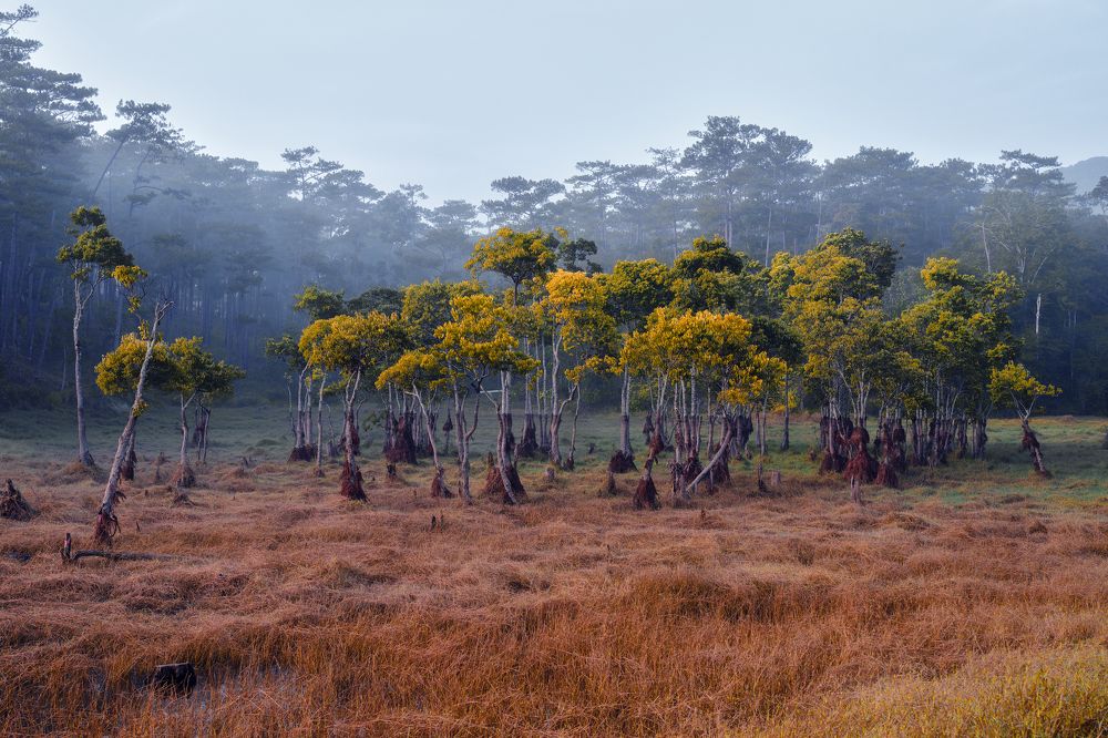 Photograph by Nguyen Ngoc Tuan
