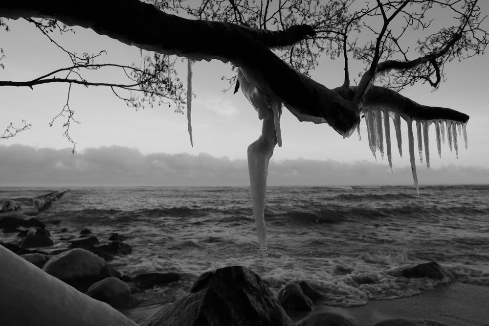 Фотография автора Колосова Елена