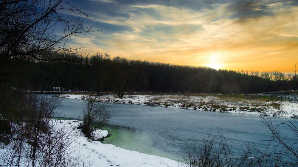 Photo #10104455