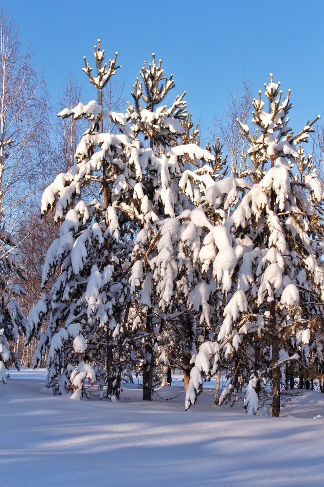 Photograph by Марина Тувышева-Чукавина