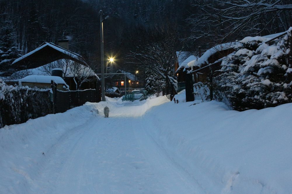 Photograph by Елена Глуховкина