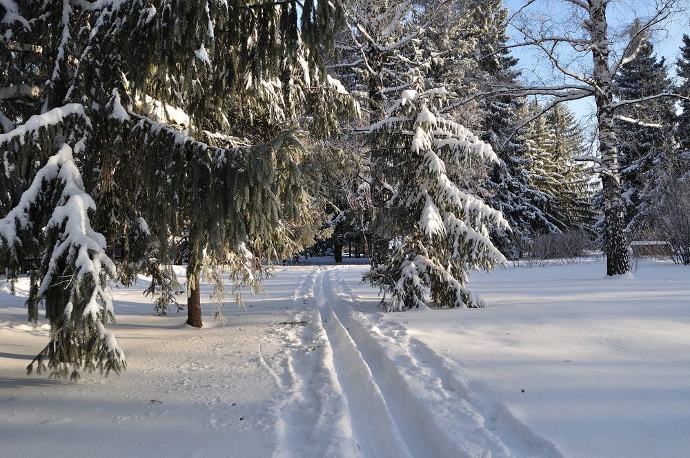 Photograph by Евгения Вакарчук
