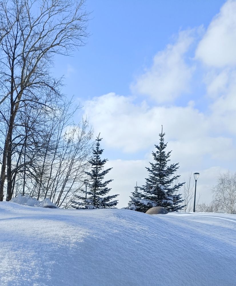 Фотография автора Татьяна Лукашева