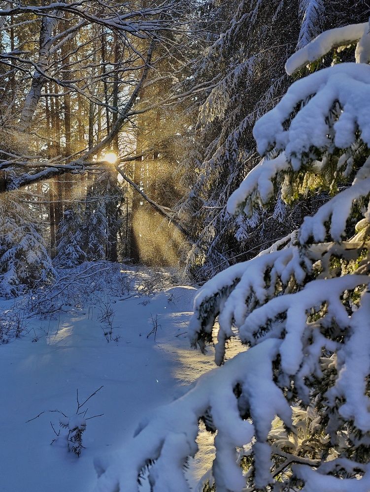 Photograph by Анастасия Филатова