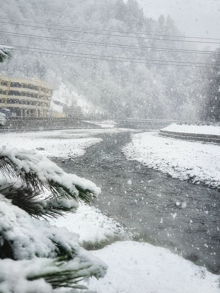 Заметает зима...