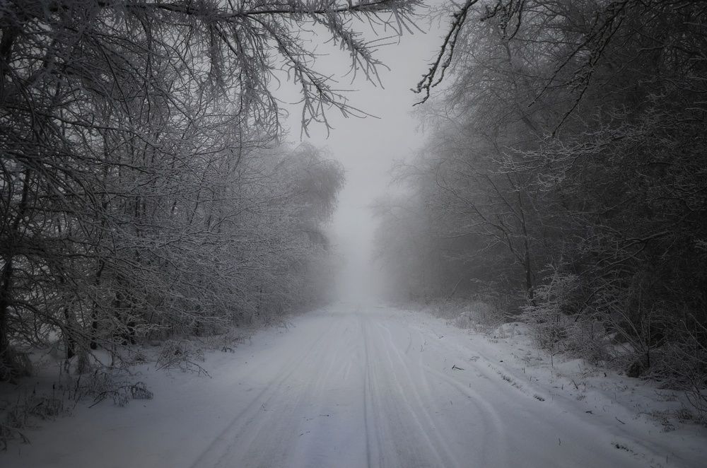 Сквозь белый плен