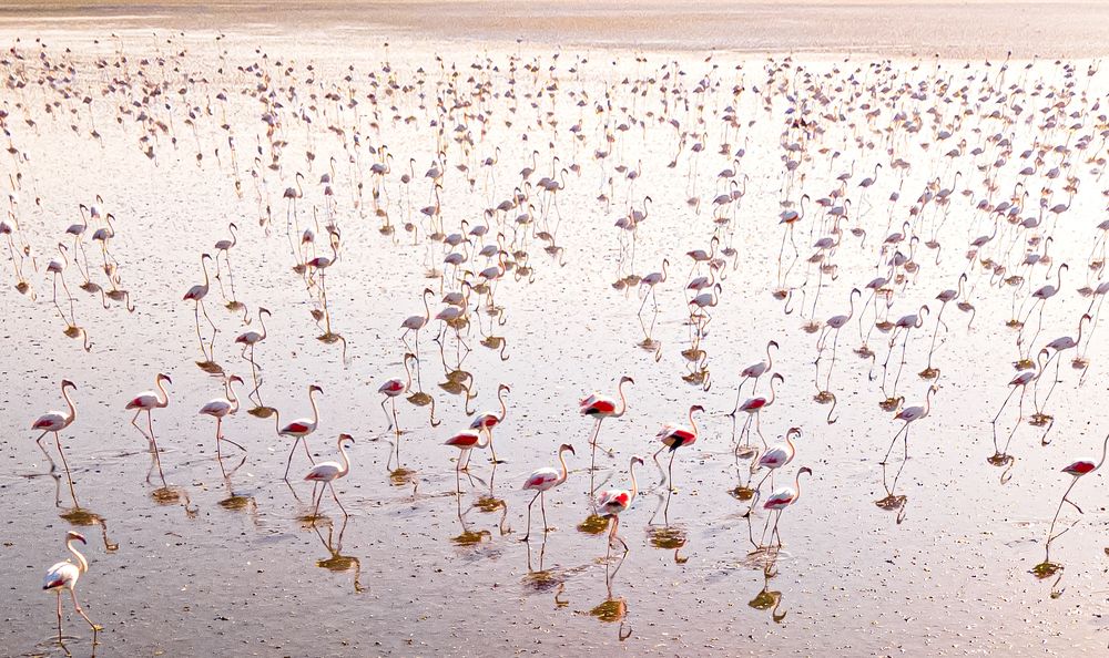 Photograph by GÜLİN YİĞİTER