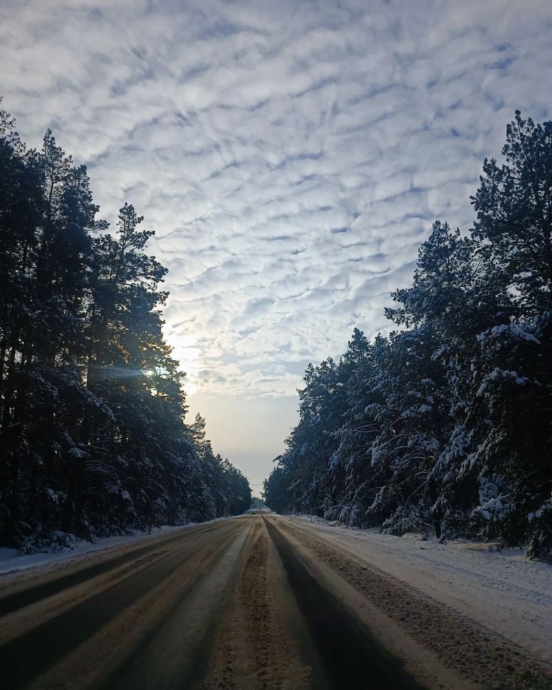 Winter road