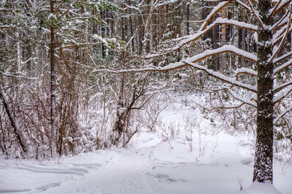 Photograph by Александр Пургин