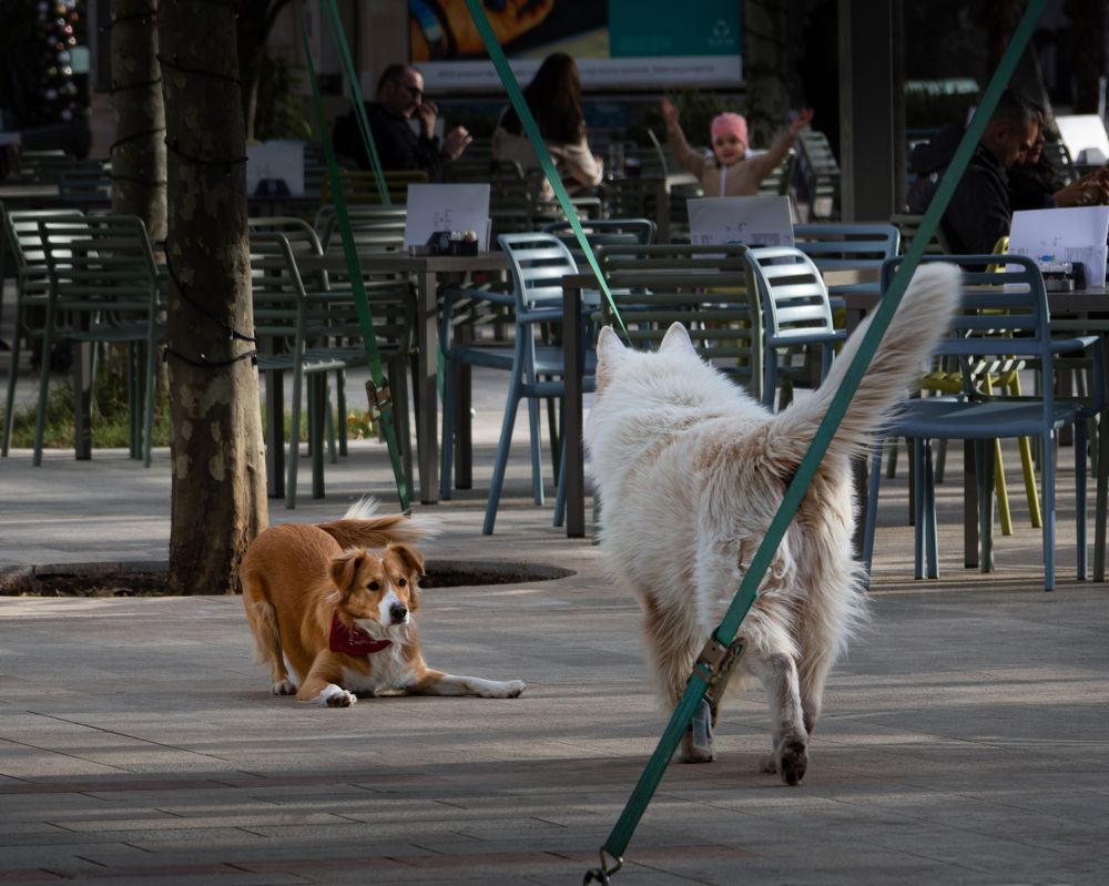 Photograph by Оксана Бочина