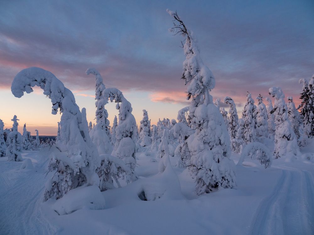 Photograph by Шейко Анна