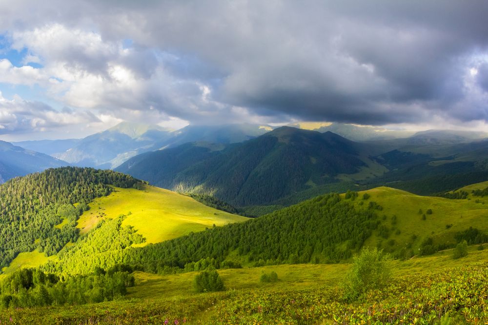 Photograph by Алексей