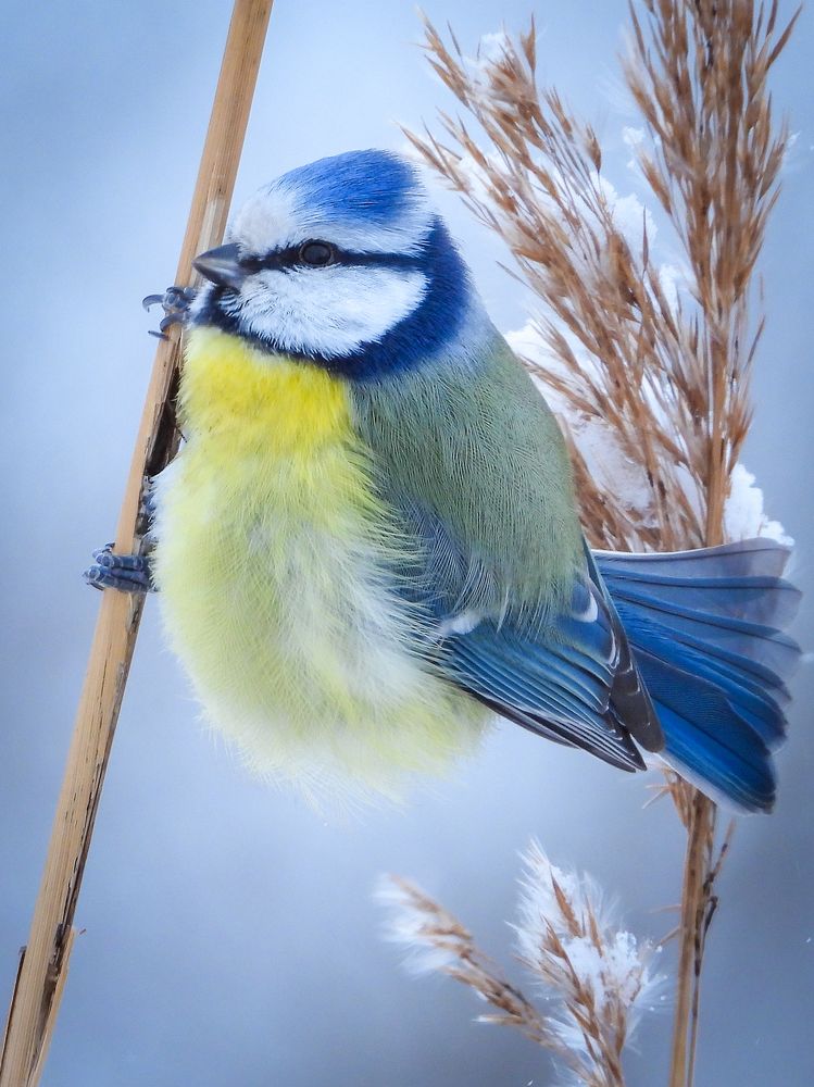 Photograph by Игорь Степанов