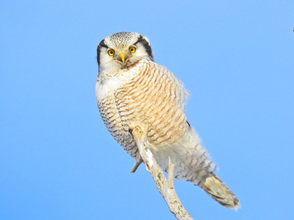 Photograph by Игорь Степанов