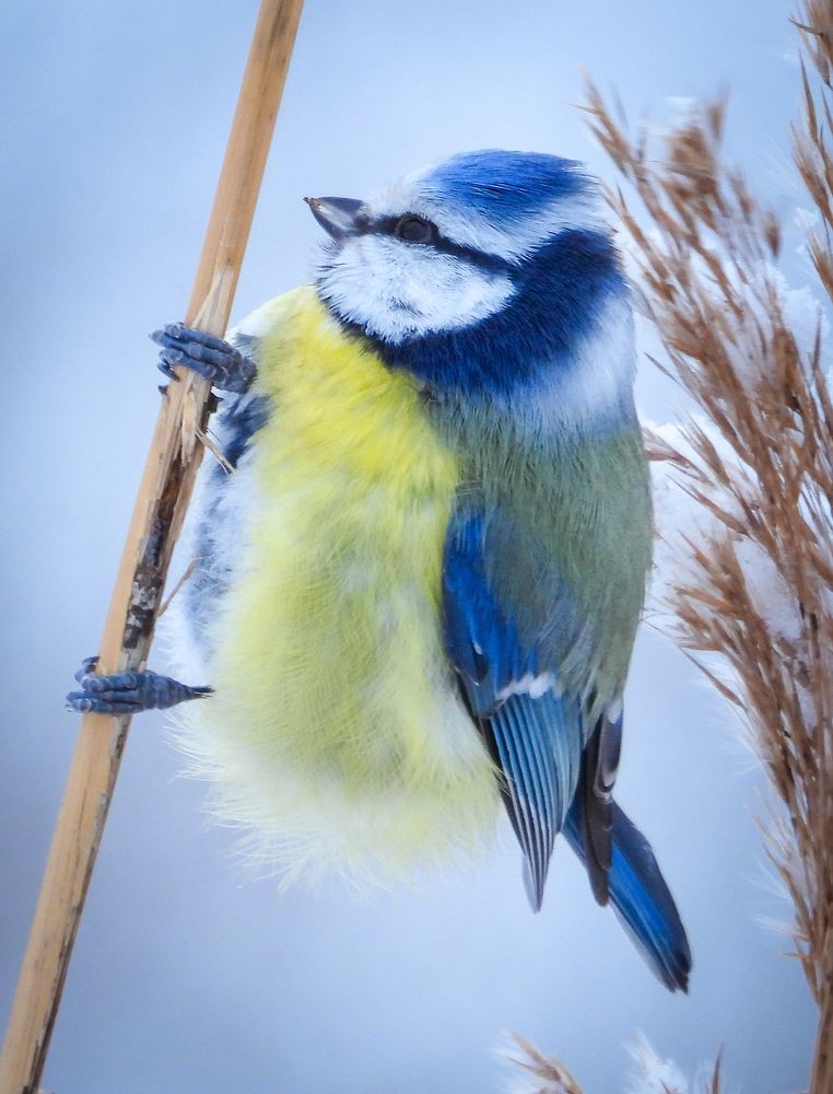 Photograph by Игорь Степанов